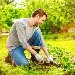 10x Unkrautvlies In Schwarz -Relaxdays relaxdays 10x unkrautvlies in schwarz 2