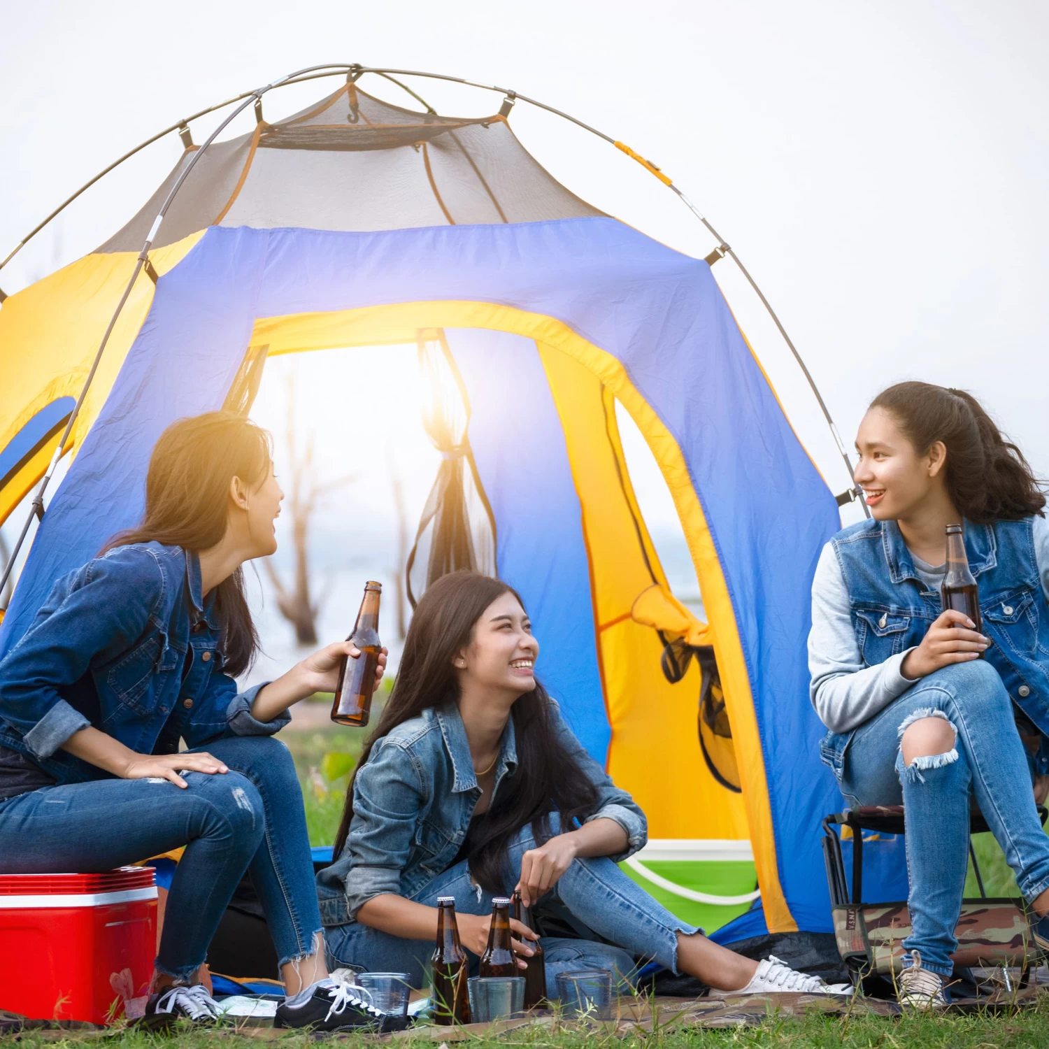 1x Falteimer In Grün - 10 L 2 1x Falteimer In Grün - 10 L – Bild 2