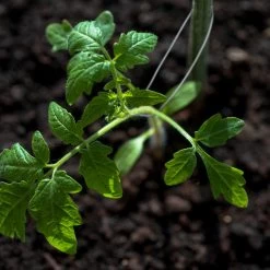 2 X Bindedraht In Silber - (L)50 M X Ø 1 Mm -Relaxdays relaxdays 2 x bindedraht in silber l 50 m x o 1 mm 4