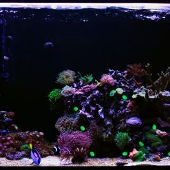 200er-Set: Leuchtsteine In Grün -Relaxdays relaxdays 200er set leuchtsteine in grun 4