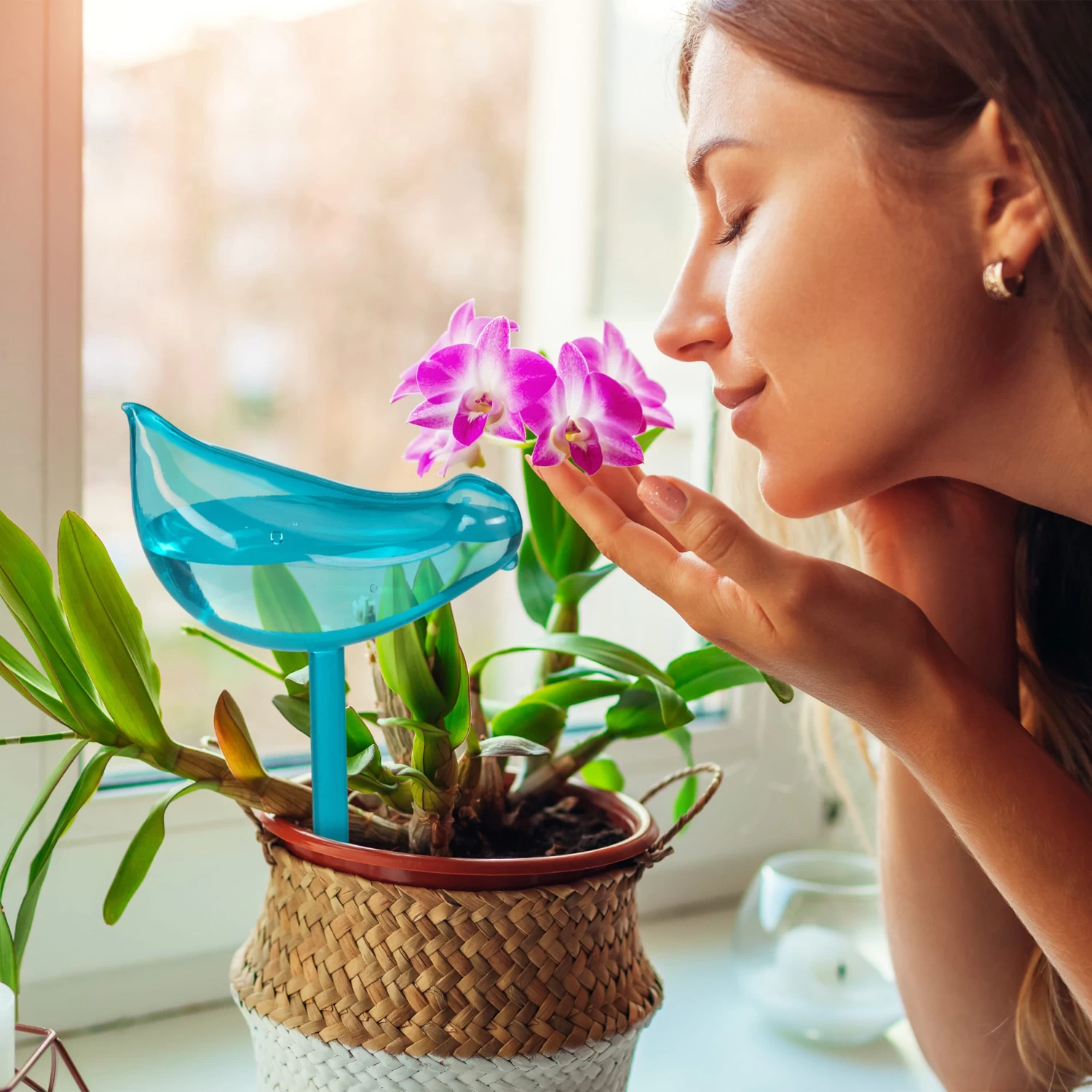 4x Bewässerungskugeln "Vogel" In Grün 3 4x Bewässerungskugeln "Vogel" In Grün – Bild 3