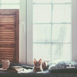 4x Fadenvorhang In Weiß - (L)245 X (B)145 Cm 11 4x Fadenvorhang In Weiß - (L)245 X (B)145 Cm -Relaxdays relaxdays 4x fadenvorhang in weiss l 245 x b 145 cm 4