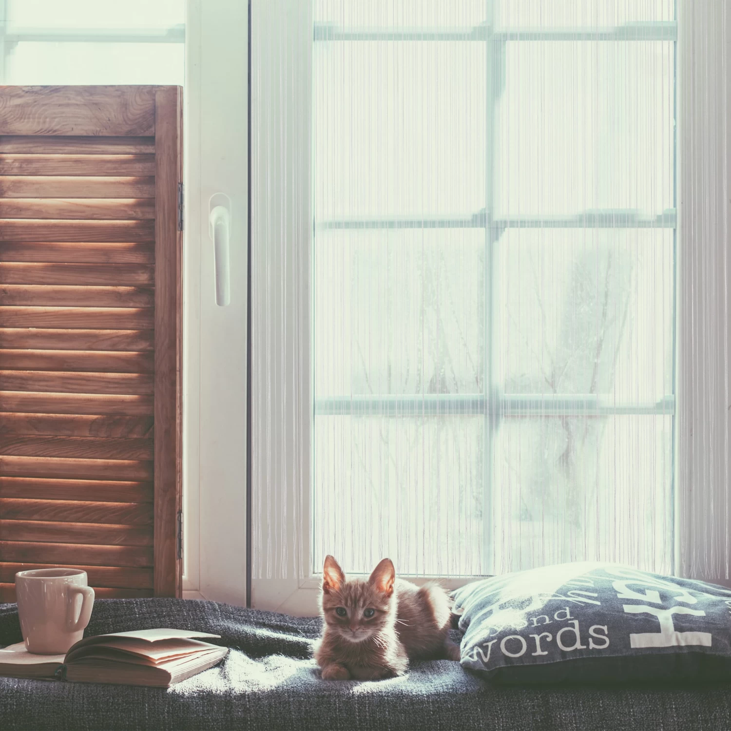 4x Fadenvorhang In Weiß - (L)245 X (B)145 Cm 5 4x Fadenvorhang In Weiß - (L)245 X (B)145 Cm – Bild 5