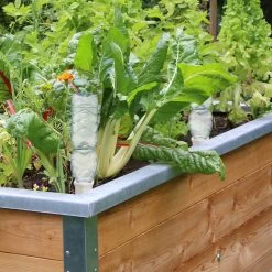 4x Gießkegel In Weiß - (B)5,5 X (H)14 X (T)5,5 Cm -Relaxdays relaxdays 4x giesskegel in weiss b 5 5 x h 14 x t 5 5 cm 4