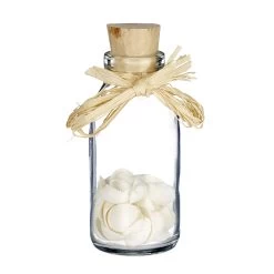 5x Muscheldeko In Natur