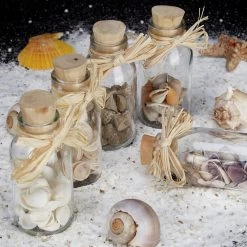 5x Muscheldeko In Natur -Relaxdays relaxdays 5x muscheldeko in natur 4