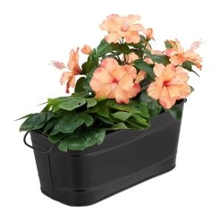 Blumenkasten In Schwarz - (B)38x (H)16 X (T)19 Cm -Relaxdays relaxdays blumenkasten in schwarz b 38x h 16 x t 19 cm 7