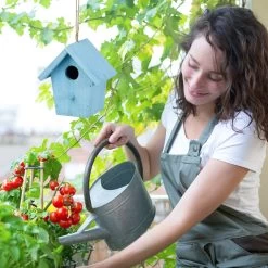 Deko Vogelhaus In Blau - (B)15 X (H)16 X (T)11 Cm -Relaxdays relaxdays deko vogelhaus in blau b 15 x h 16 x t 11 cm 1