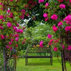 Gartenbank In Schwarz/Bronze - (B)127 X (H)81 X (T)56 Cm -Relaxdays relaxdays gartenbank in schwarz bronze b 127 x h 81 x t 56 cm 2