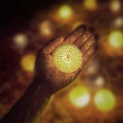 LED Lichterkette In Weiß/Grau/Braun (L)160 Cm 10 LED Lichterkette In Weiß/Grau/Braun (L)160 Cm -Relaxdays relaxdays led lichterkette in weiss grau braun l 160 cm 2