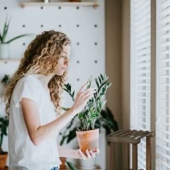 Pflanzenregal In Dunkelbraun - (B)119 X (H)83 X (T)36 Cm -Relaxdays relaxdays pflanzenregal in dunkelbraun b 119 x h 83 x t 36 cm 2