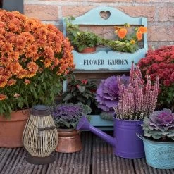 Solarlampe In Natur/ Braun - (B)21 X (H)31,5 X (T)20 Cm -Relaxdays relaxdays solarlampe in natur braun b 21 x h 31 5 x t 20 cm 1